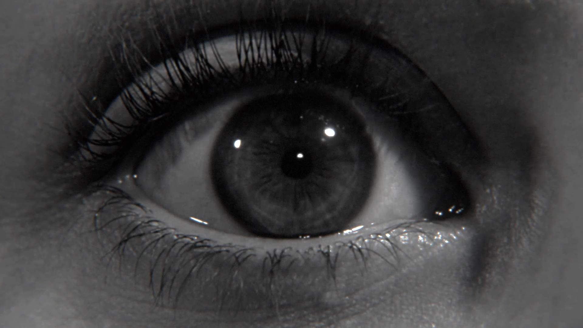 Everything Not Saved Will Be Lost